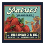 patriot_strawberries_vintage_fruit_crate_label_art_invitation-r2efdf8d61f00431dba704448356e908a_8dnmv_8byvr_512